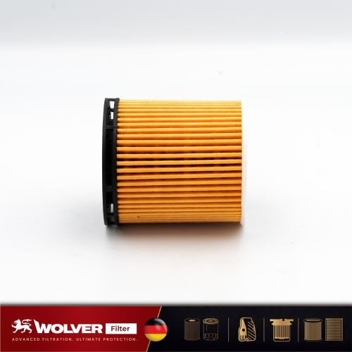 Lọc Nhớt Động Cơ: Wolver WO2M00G